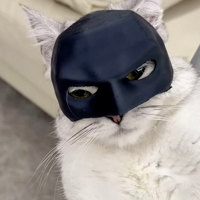 Batman-Style Pet's Mask – Black Superhero Costume Mask for Pets