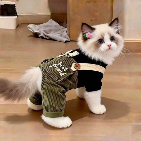 Best Friend Dungaree Outfit for Cats & Dogs