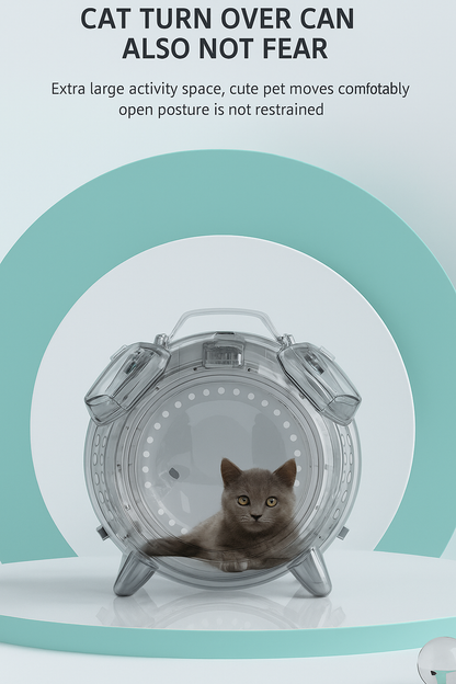 Pet activity wheel with a cat inside on a light blue background