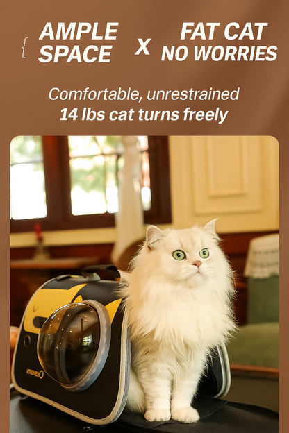 Cat sitting on a pet carrier with text about ample space and fat cat comfort