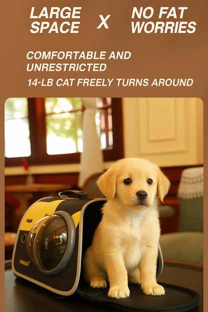 Puppy sitting next to a pet carrier with text about comfort and freedom of movement.