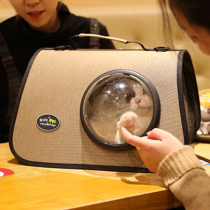 Cat inside a bubble-shaped pet carrier with a person interacting with it on a wooden table.