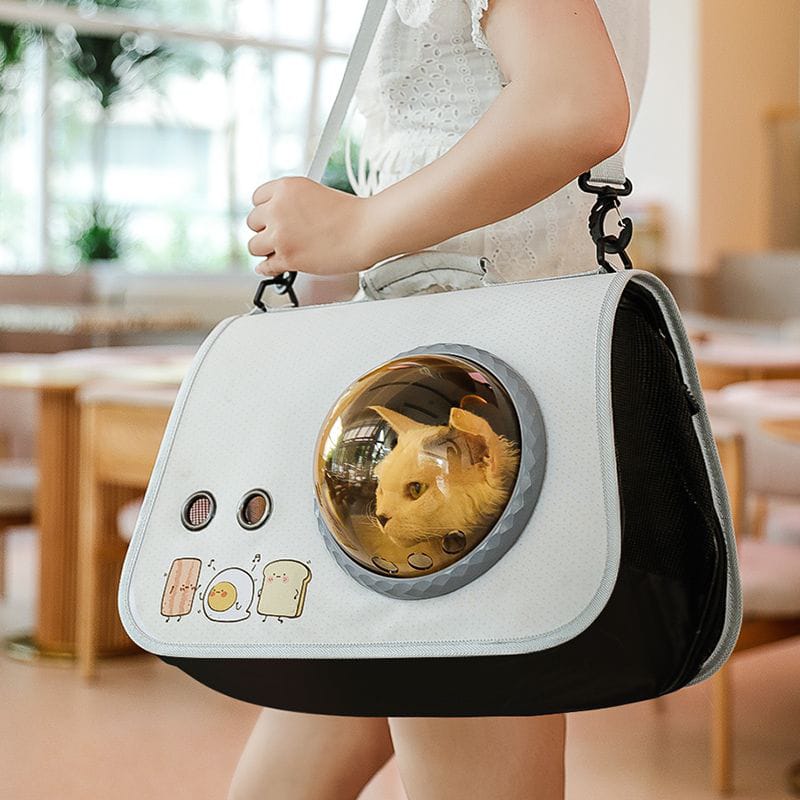 Person holding a pet carrier with a cat inside, designed like a space capsule, in an indoor setting.