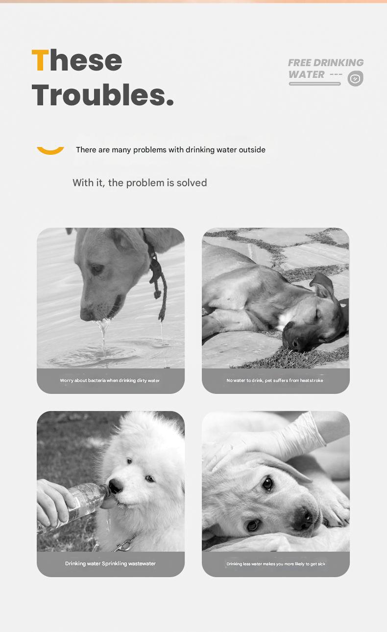 Advertisement for free drinking water with images of dogs and text.