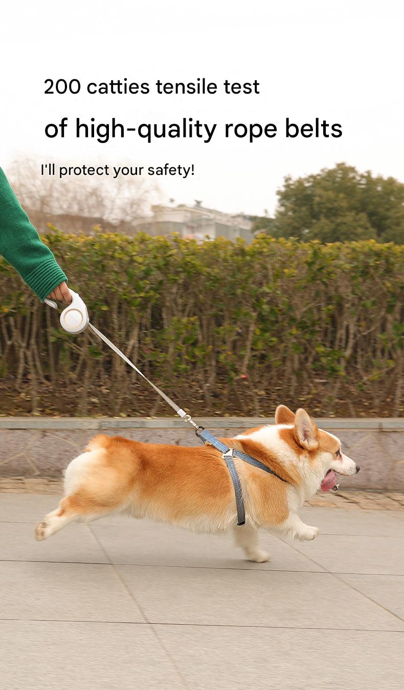 Retractable Dog Leash – 5M Durable Automatic Pet Lead with One-Touch Lock for Small & Medium Dogs and Cats