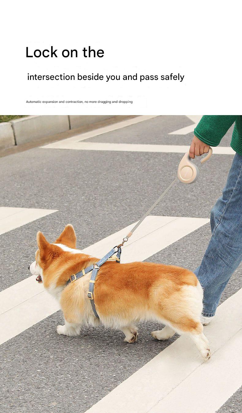 Retractable Dog Leash – 5M Durable Automatic Pet Lead with One-Touch Lock for Small & Medium Dogs and Cats