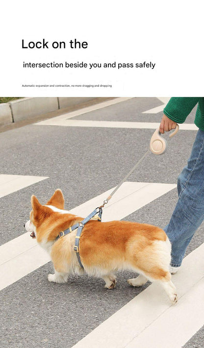 Retractable Dog Leash – 5M Durable Automatic Pet Lead with One-Touch Lock for Small & Medium Dogs and Cats