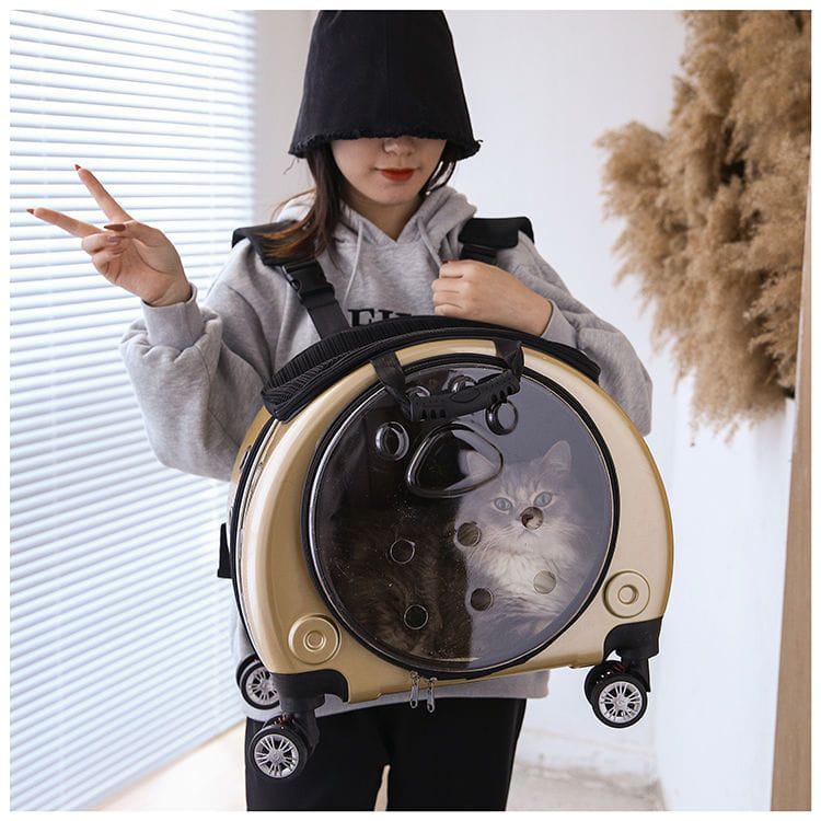 Person carrying a pet carrier with a cat inside, standing indoors.