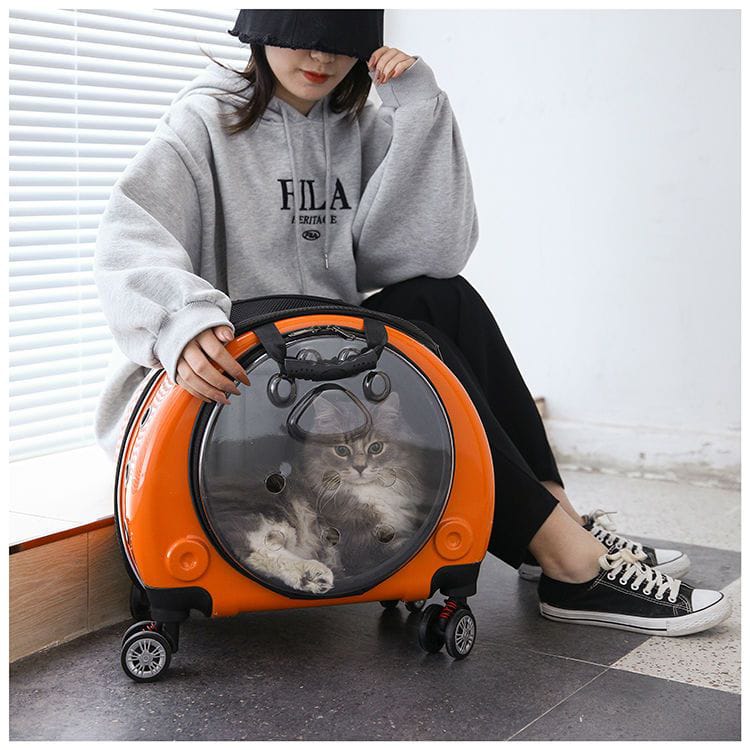 Person holding an orange pet carrier with a cat inside, sitting on a floor.