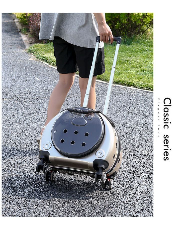 Person pulling a silver and black suitcase on a road with grass and flowers in the background.