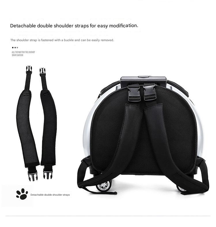 Backpack with detachable double shoulder straps on a white background
