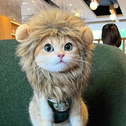 Cat wearing a lion costume with a Starbucks cup, sitting on a green couch.