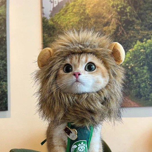 Cat wearing a lion costume with a Starbucks cup in the background