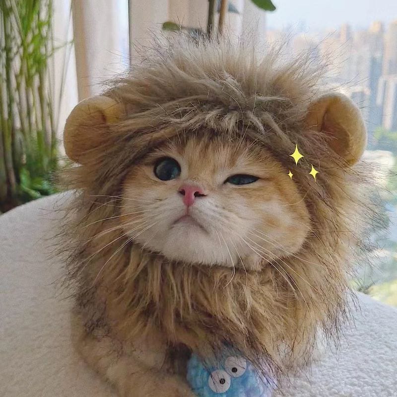 Cat wearing a lion costume with a cityscape in the background