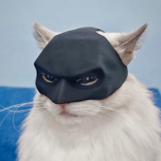 Batman-Style Pet's Mask – Black Superhero Costume Mask for Pets