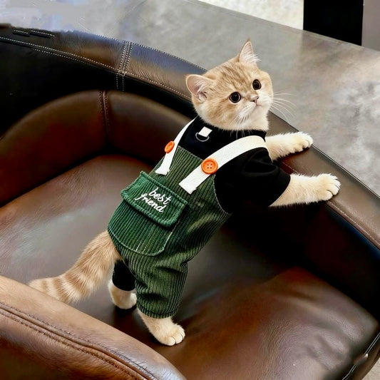 Best Friend Dungaree Outfit for Cats & Dogs