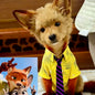 Cute Shirt & Tie Outfit for Cats and Dogs | Soft Pet Costume for Small Pets (8–10 kg)