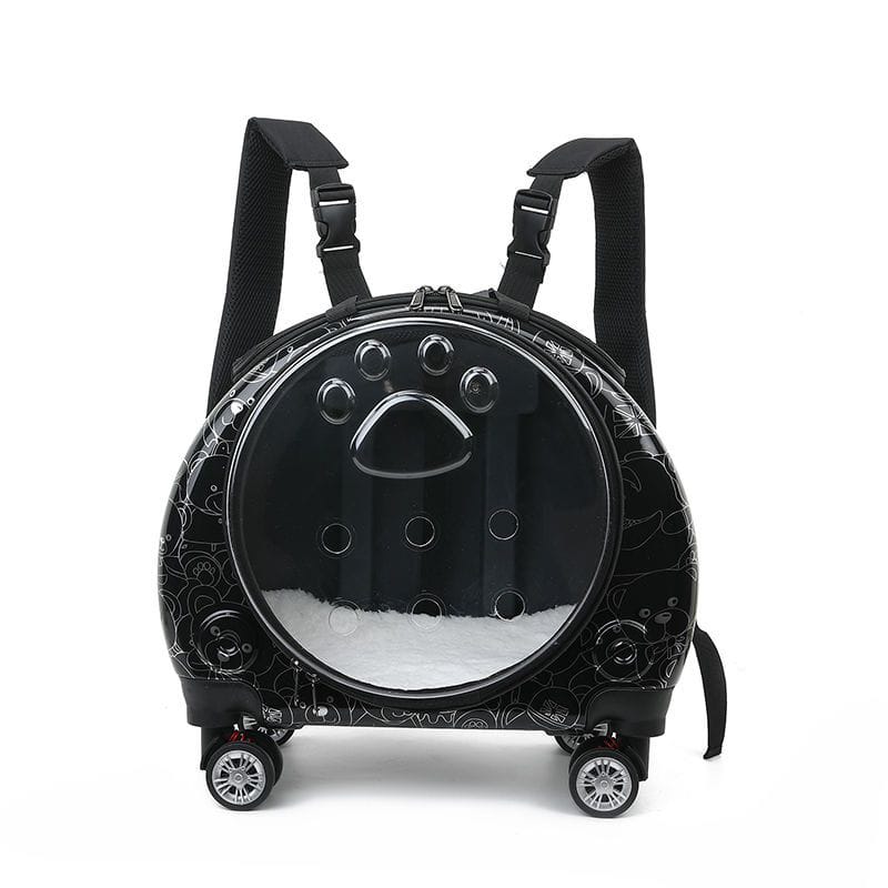 Black and transparent round backpack with wheels on a white background