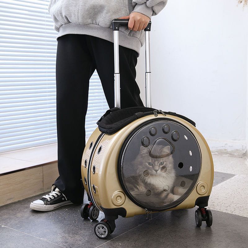 Person holding a pet carrier with a cat inside, designed like a suitcase.