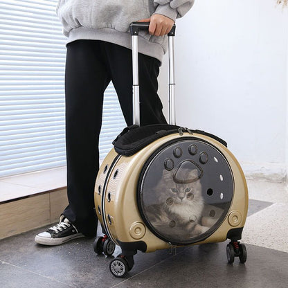 Person holding a pet carrier with a cat inside, designed like a suitcase.
