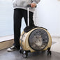 Person holding a pet carrier with a cat inside, designed like a suitcase.