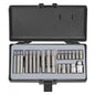 Force 22pc 10mm Ribe Bit Set (Code - 4225)