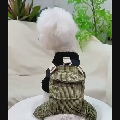 Best Friend Dungaree Outfit for Cats & Dogs