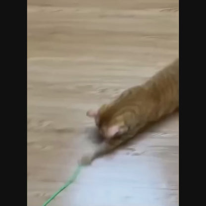 Smart Interactive Rolling Ball Toy for Cats & Dogs – USB Rechargeable, Self-Steering